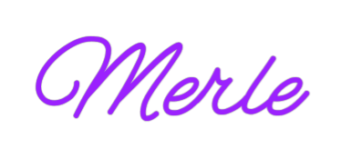 Personalisierbares Neon - LED - Schild in Pink, ideal als Wanddekoration für Wohnzimmer oder Geschäftsräume